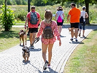 Adoptuj Warszawiaka  Wydarzenie promujące adopcję zwierząt. Organizator: Schronisko dla Bezdomnych Zwierząt "Na Paluchu". 18 sierpnia 2019, Park Raszyński w Raszynie. : park raszyński, adoptuj warszawiaka, na paluchu, schronisko dla zwierząt, centrum warszawy, raszyn